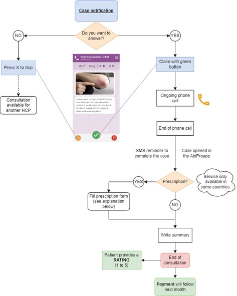 VOICE CONSULTATIONS PROCESS